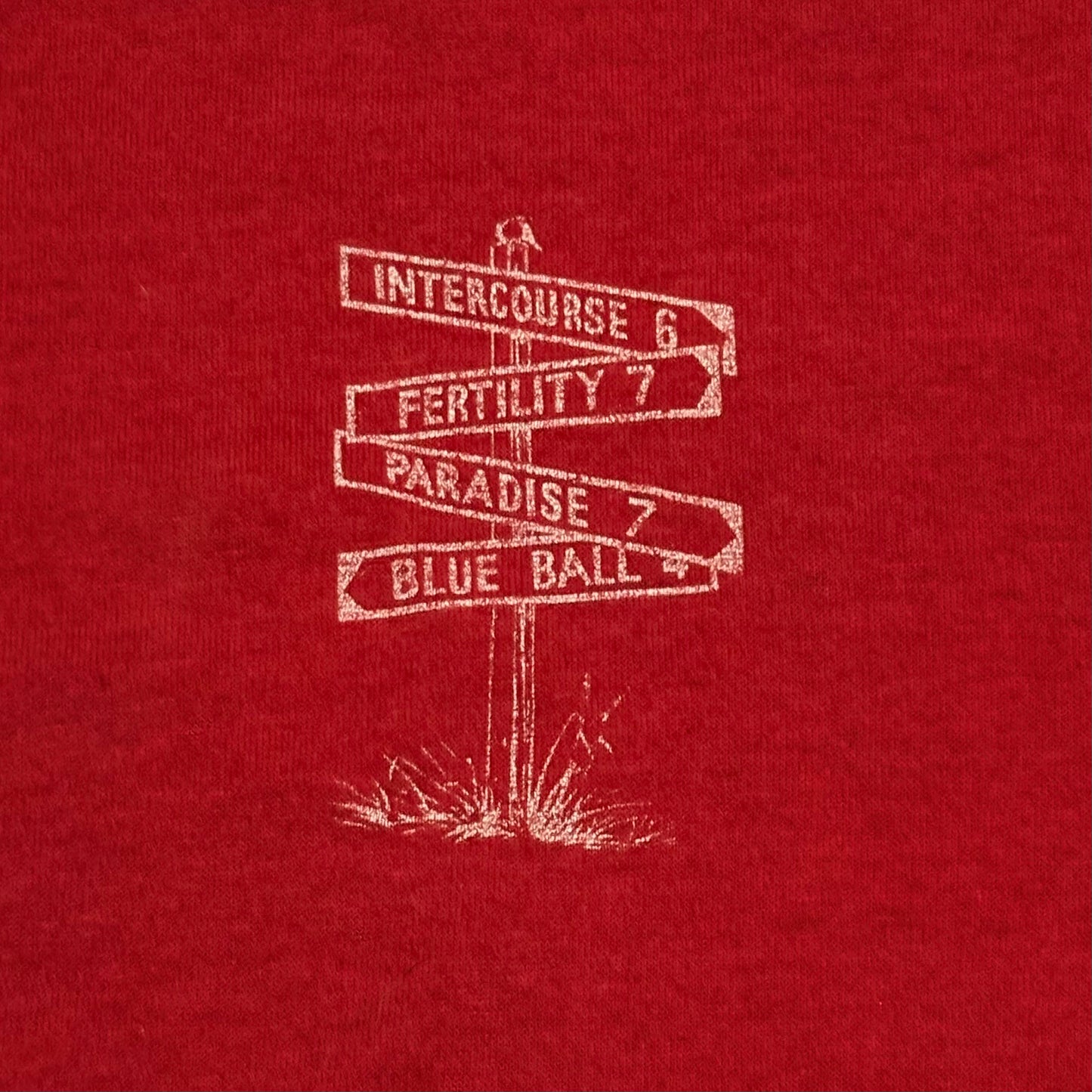 INTERCOURSE / FERTILITY / PARADISE / BLUE BALL SINGLE STITCH TEE